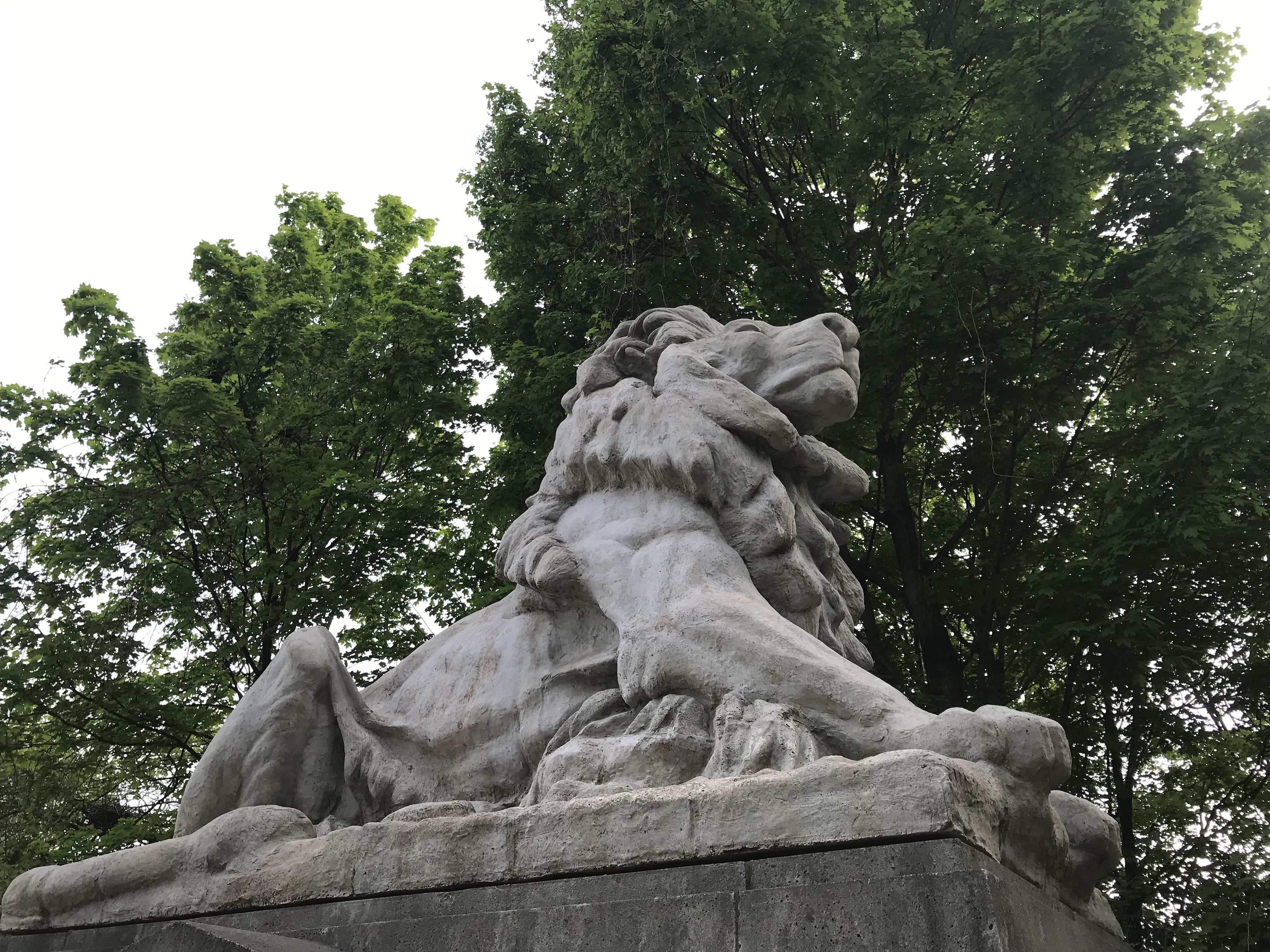 Restored Lions on Taft Bridge