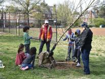 Arbor Day Tree Planting