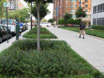 Green Infrastructure Green Infrastructure - sidewalk with landscape area