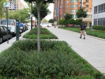 Green Infrastructure - sidewalk with landscape area