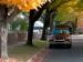 Visitor Parking Passes Photo of an autumn colored tree-lined residential street with one parked car